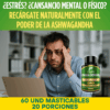 Ashwagandha en Cápsulas – Control del Estrés, Sueño Reparador y Energía Natural | Fitovit x60 Und