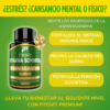 Ashwagandha en Cápsulas – Control del Estrés, Sueño Reparador y Energía Natural | Fitovit x60 Und